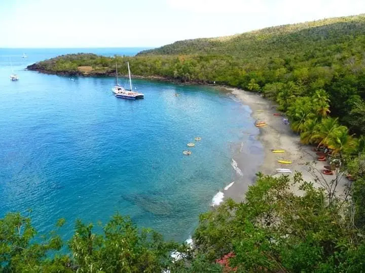 Coastal bay seen during a St. Lucia cruise ship excursion